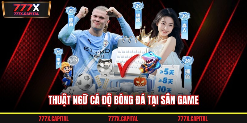 Thuật ngữ cá độ bóng đá tại sân game